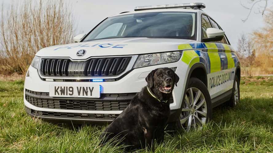 Skoda Kodiaq Goes From Family SUV To Police Dog Van
